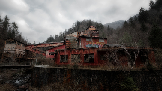 TW-2025 - Manuel Wanker